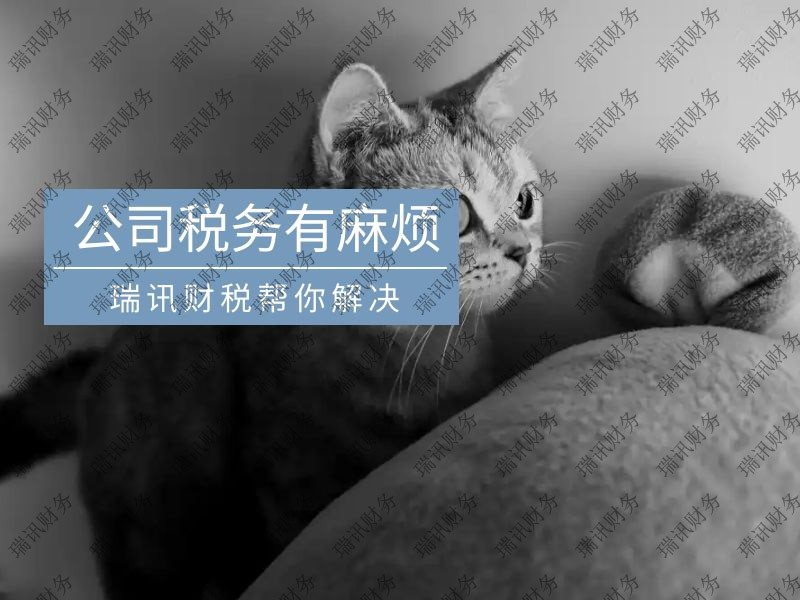 南沙區記賬報稅申報時間與步驟